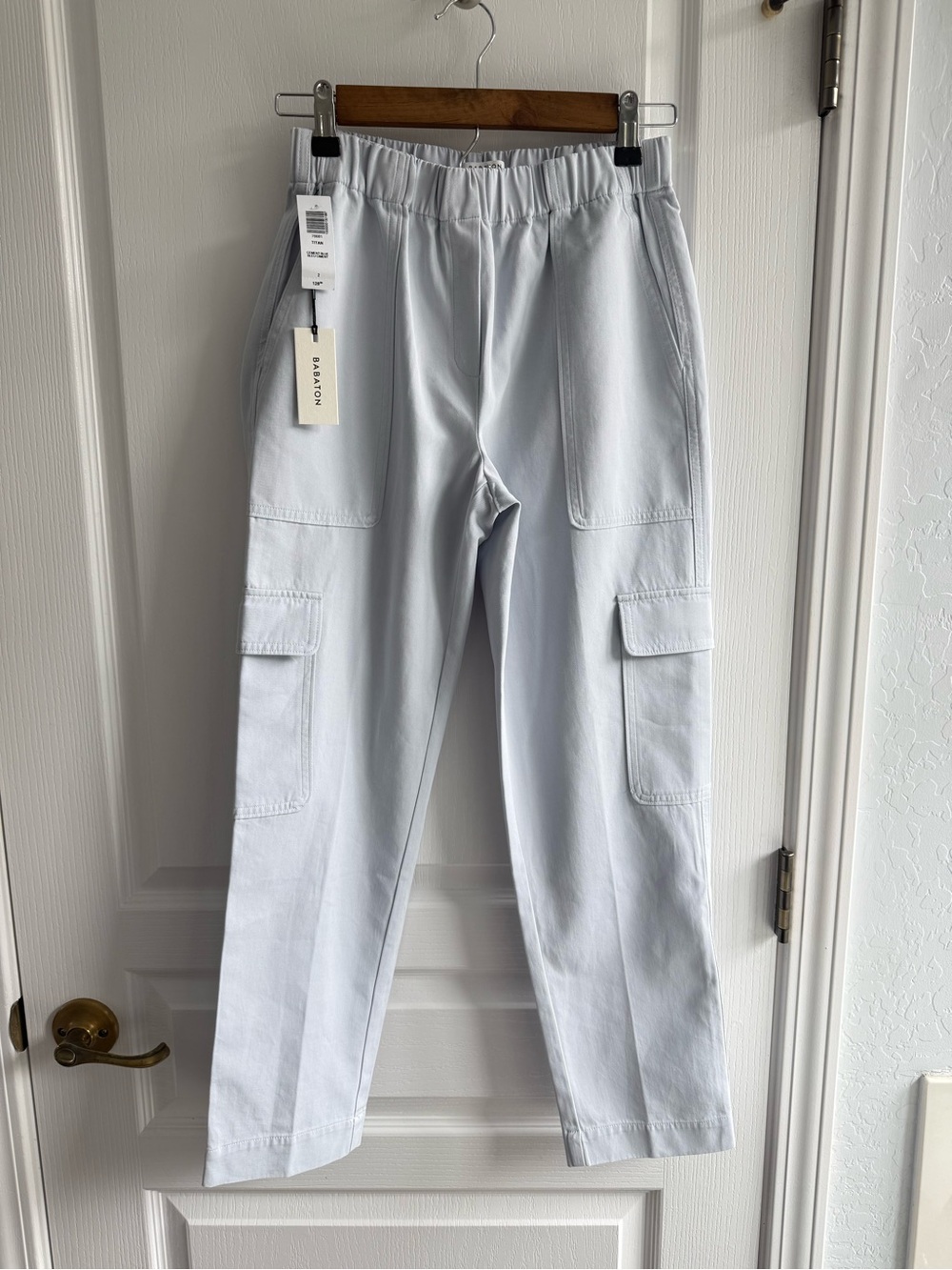 NWT Aritzia Babaton Titan Cargo Pants Cement Blue Size 2
